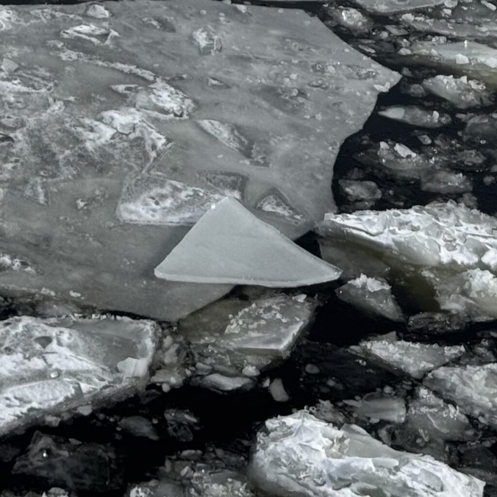 A triangular piece of ice, pointing eastward, on the surface of the Saint Lawrence in late February.