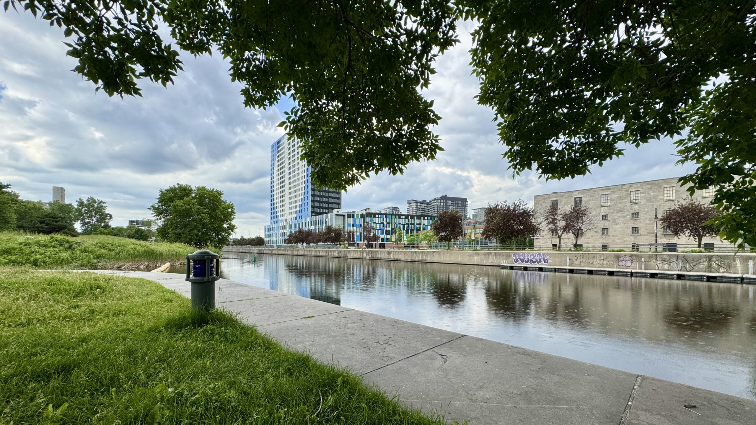 View of the Lachine Canal from beneath an ash tree, its branches framing the top of the image. The canal stretches westward, its calm surface reflecting an overcast sky. A concrete path and grassy bank run along the left; graffiti marks the stone wall on the opposite bank. City buildings rise in the background.